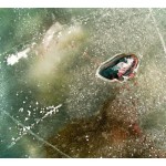 201201090902_img_7019b