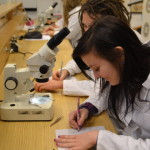 201202271007_dsc_5635