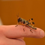 201202271007_dsc_5674