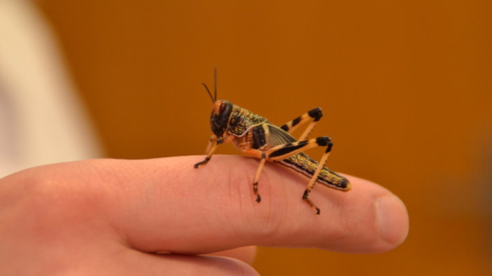 201202271007_dsc_5674