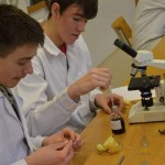 201502212248_dsc_0071_1