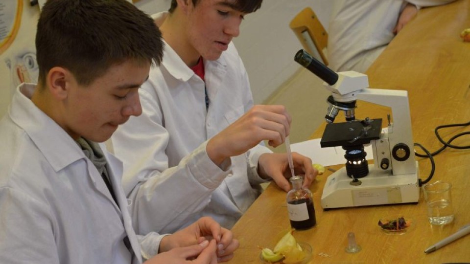 201502212248_dsc_0071_1