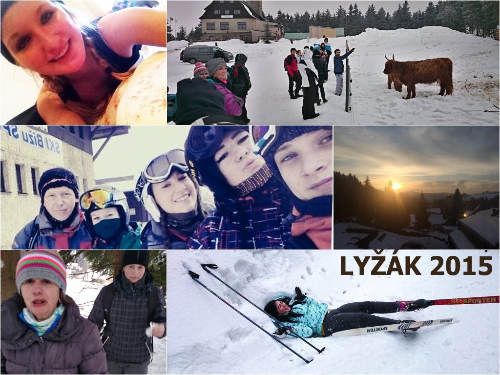 201502260011_lyzak2015_5