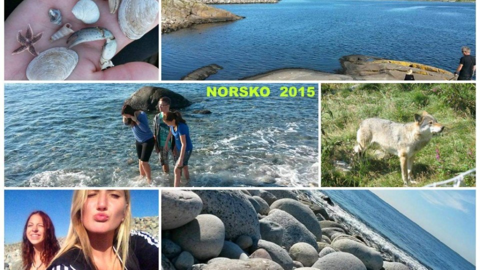 11072712_978364378872554_5369484798154492219_n_postcard