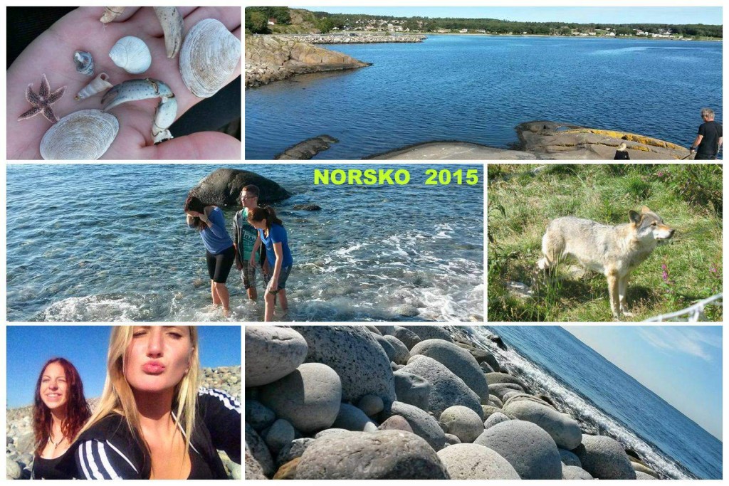 11072712_978364378872554_5369484798154492219_n_postcard