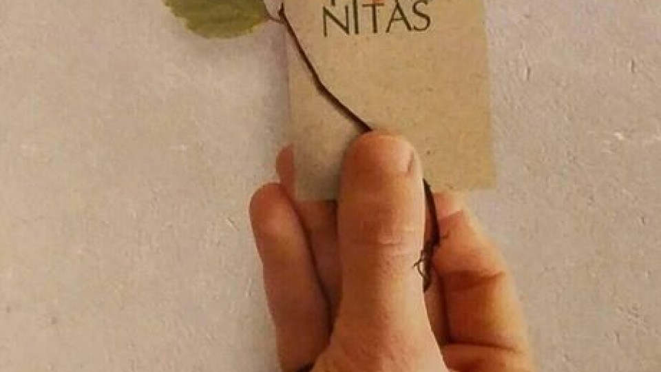 10646637_1140382755979431_2963133214275887657_n