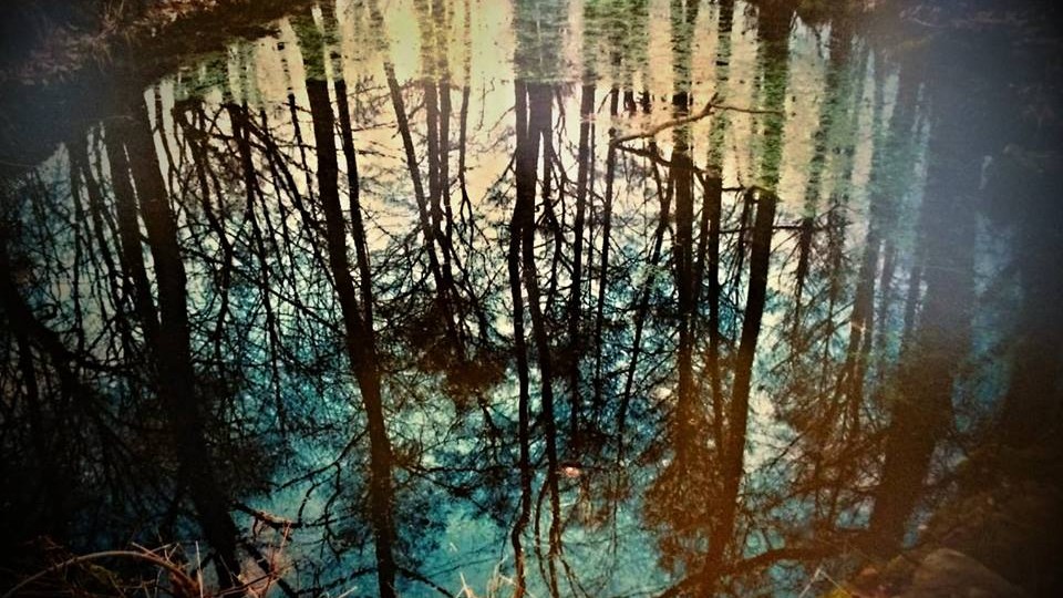 12472396_1146125448738495_8010283704247334244_n