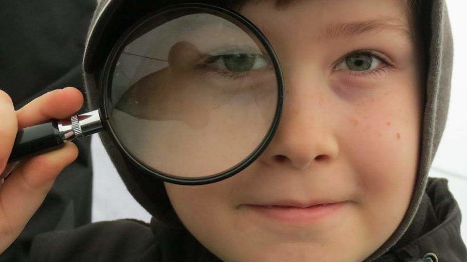 13010657_1232849733392689_6103787019937457347_n