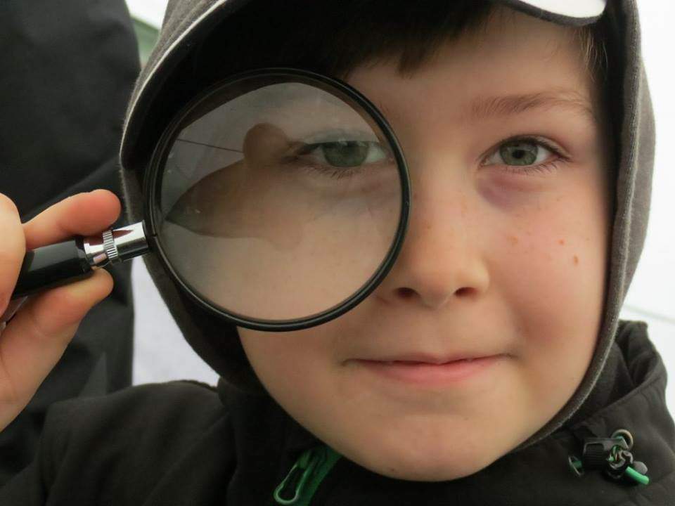 13010657_1232849733392689_6103787019937457347_n