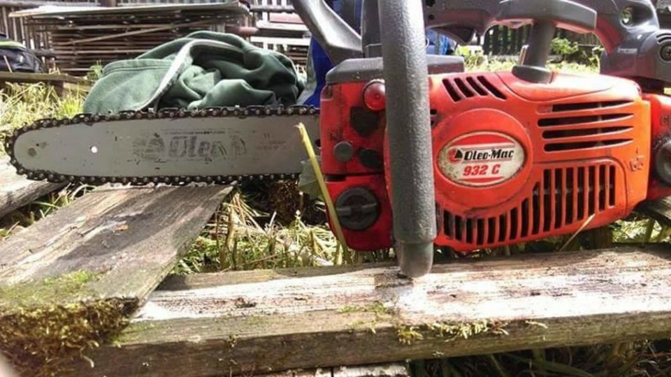 13285680_1089615857775382_713518225_n