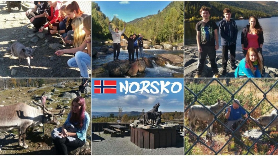 14315564_1184797801542245_931854840_o_postcard