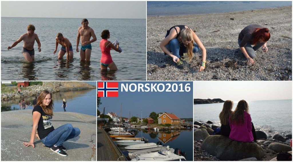 14315665_1186153981406627_426472679_o_postcard