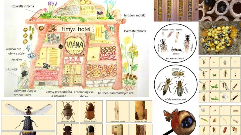 15068403_1419902748027429_5352439008543485668_o