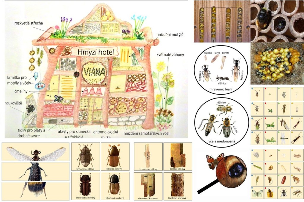 15068403_1419902748027429_5352439008543485668_o