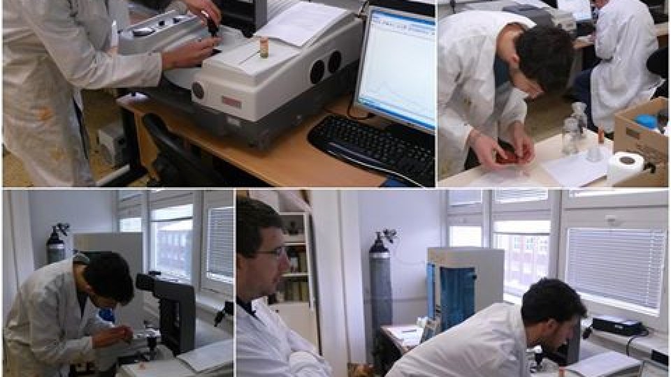 15267837_1454257294591974_3195195741337548337_n