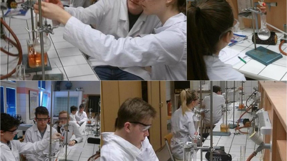 15994985_1518925418125161_1911526519142398591_o