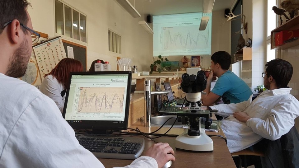 16836577_1565452893472413_2392406280092231211_o