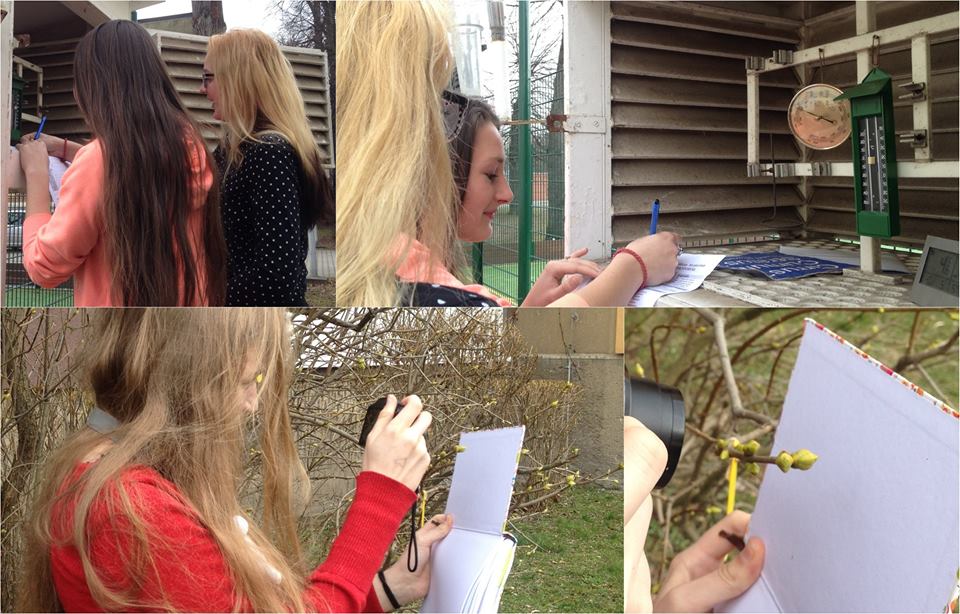 17342882_1592946704056365_8275427100317862340_n