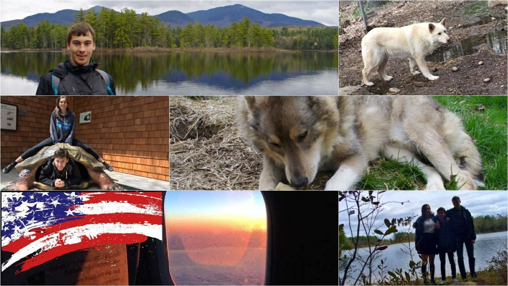 18492395_1261304500682868_1054295258_n_postcard (1)