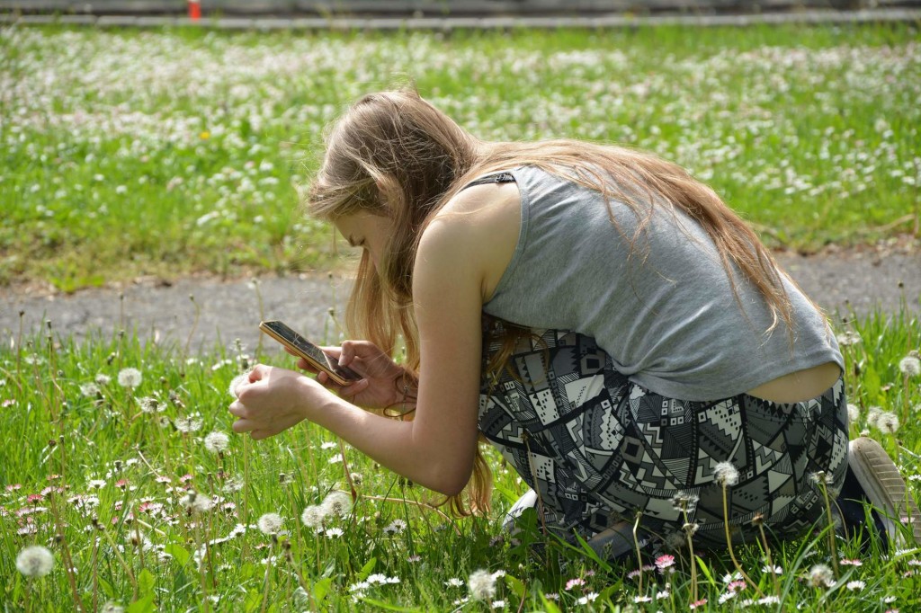 18901890_687999104720548_891807816_o