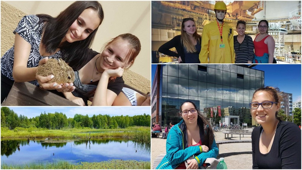 20170605_123401_postcard