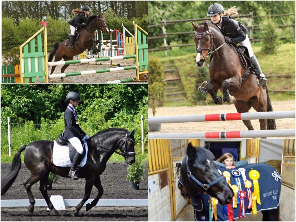 19780479_1748191975198503_4913227722362285951_o