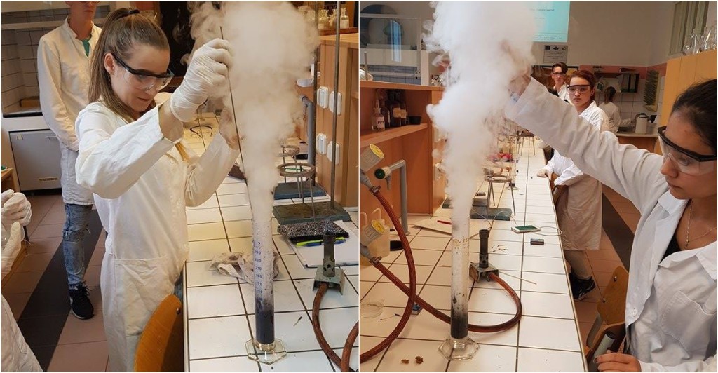 22752054_1579629498725738_985993940_n_postcard