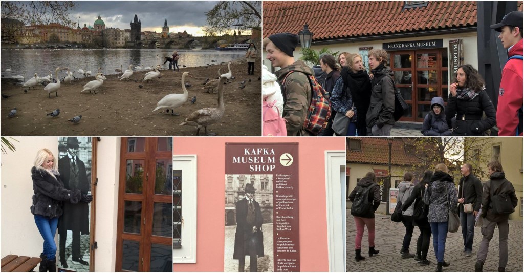 23736030_1924006974283668_8550556498261518208_o