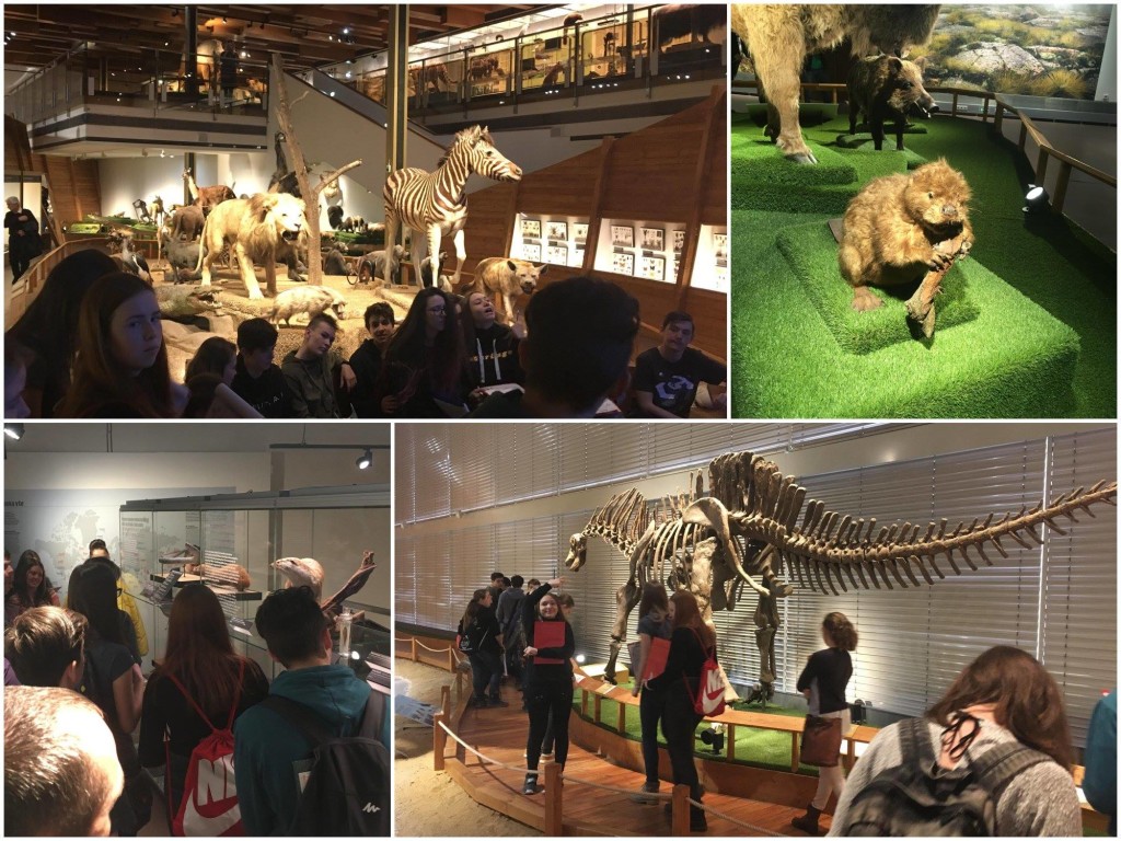 29663197_2113825518635145_6382724140686290158_o