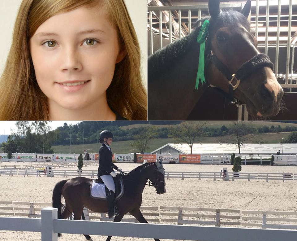 41960028_2427738703910490_6416475789247643648_n