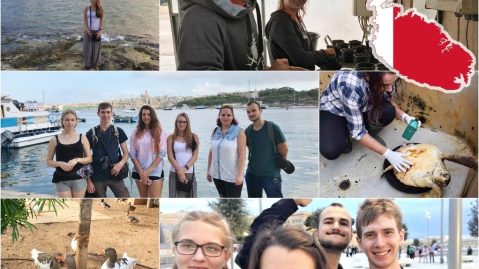 42834708_2451010191583341_5973018062293565440_o