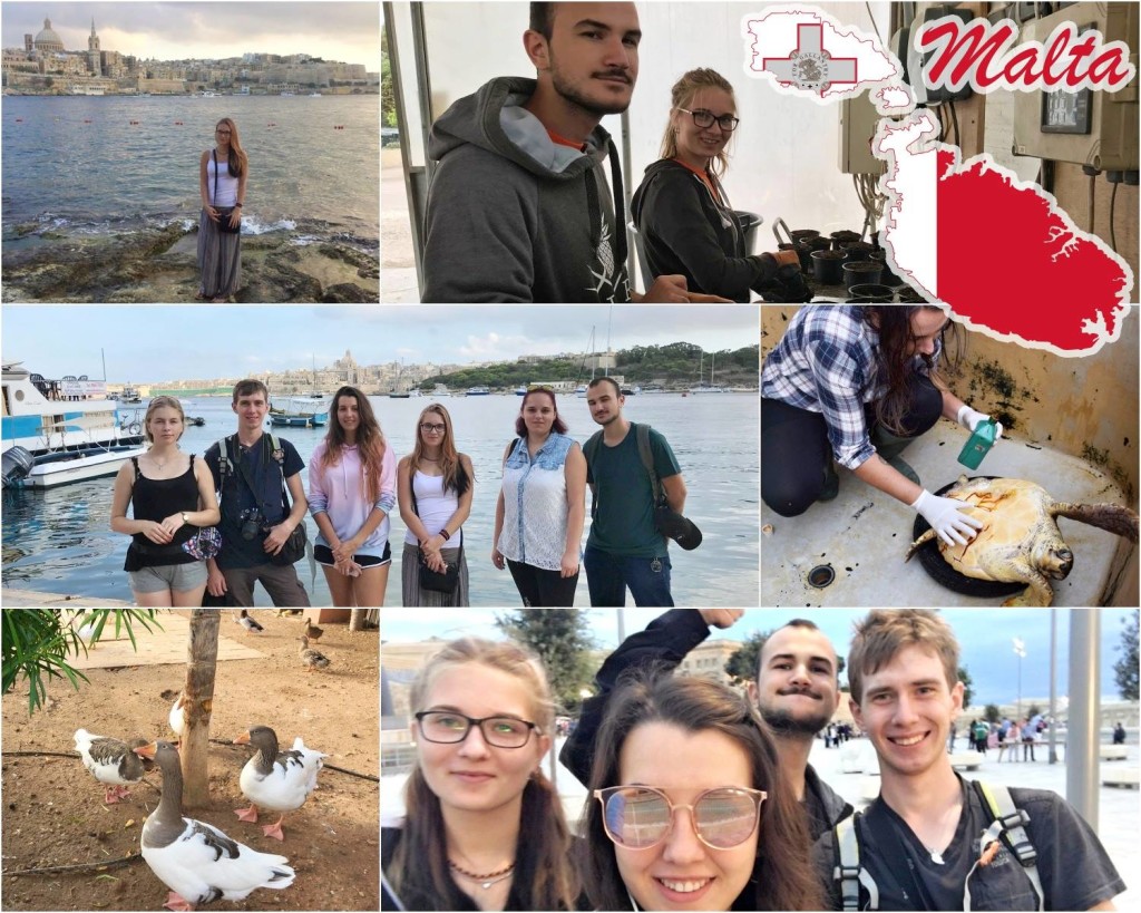 42834708_2451010191583341_5973018062293565440_o