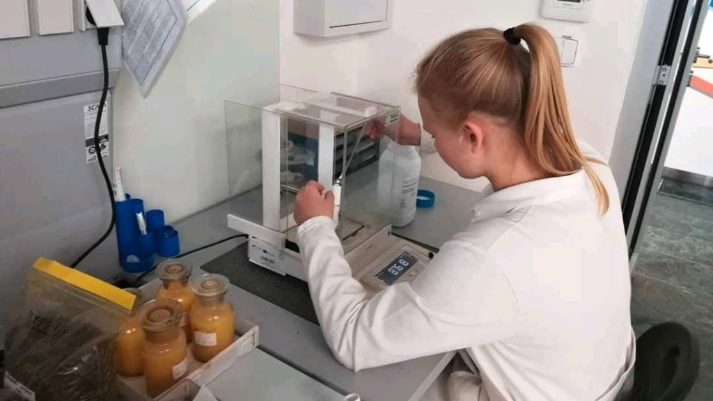 FB_IMG_15396214977783464