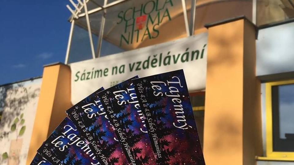 45109424_2523113441039682_2826241519042691072_n