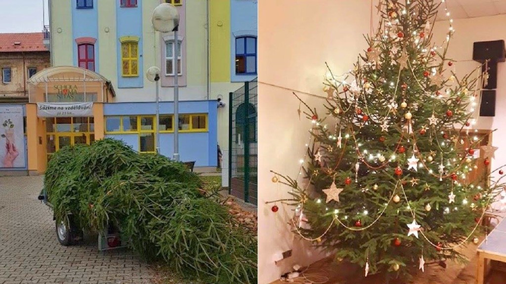 47057848_2578348072182885_4686908453606653952_o