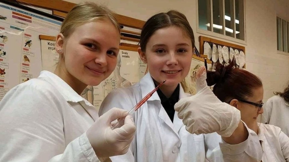 FB_IMG_15481208763939518