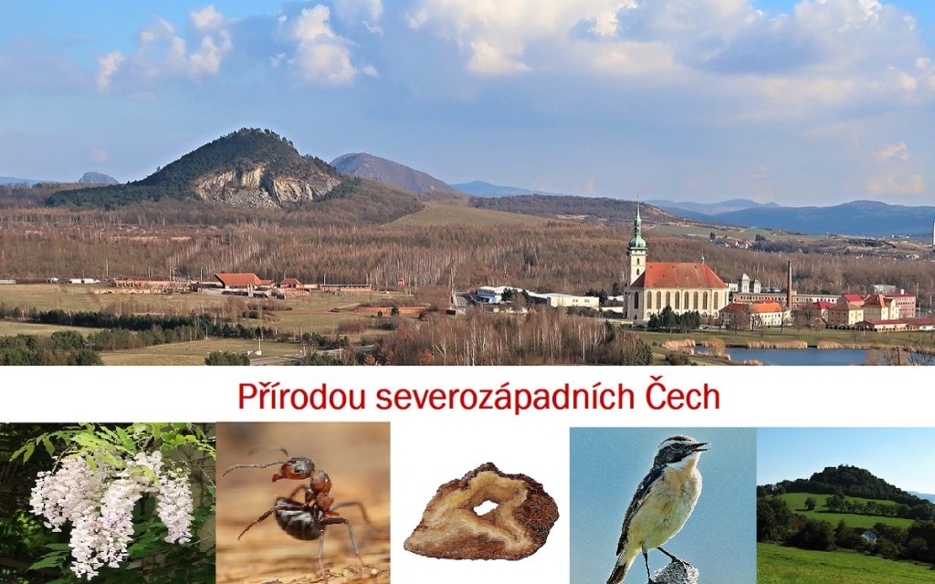 51585693_2740705619280462_5002387068651831296_o