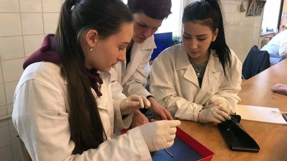 FB_IMG_15505720265378483