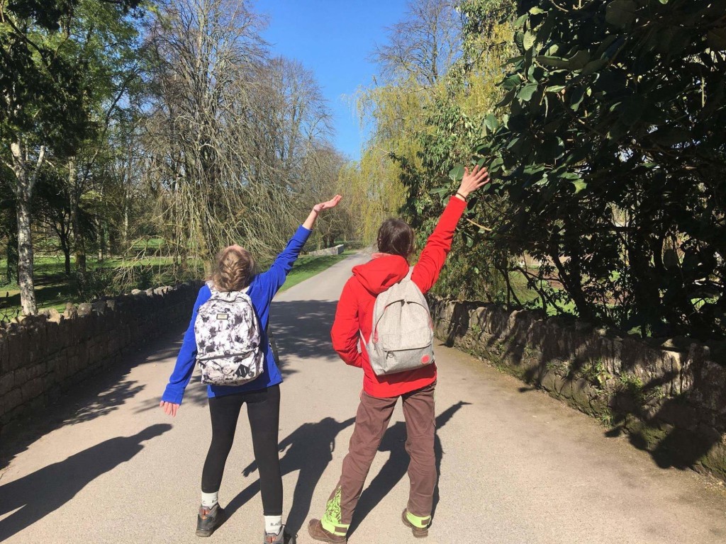 53574771_367558807427474_44441791843270656_n