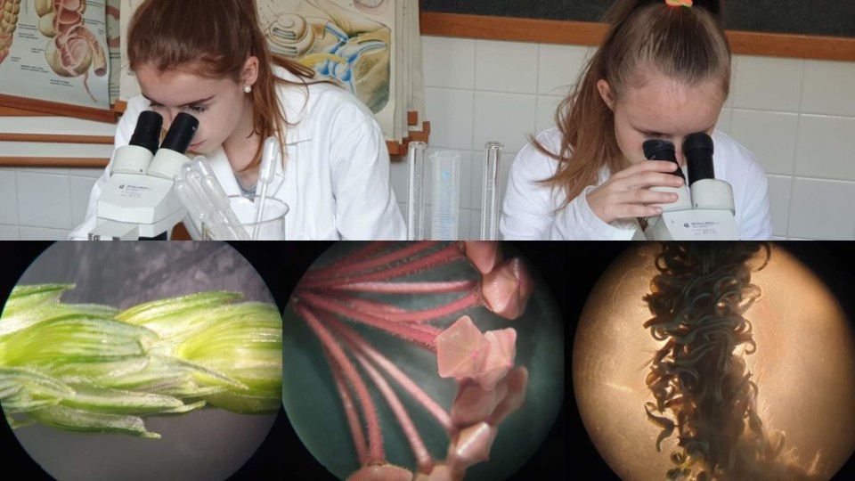 20190514_111121_postcard