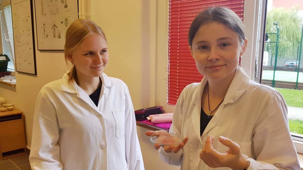 60246742_2349572828665746_6963885906746933248_n