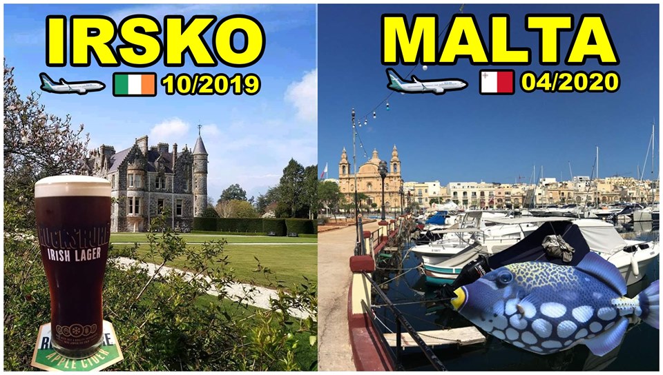 65388092_3059741684043519_3501046624308690944_n