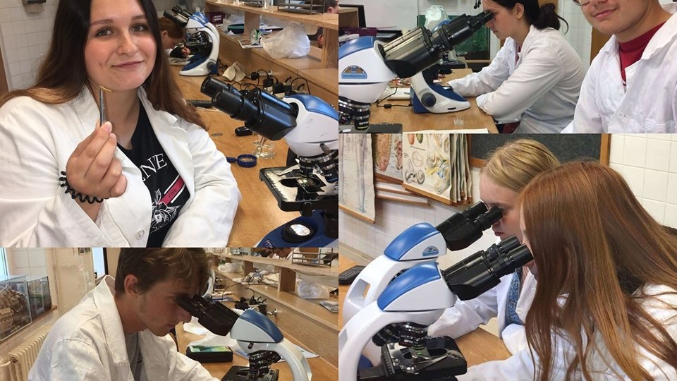 70962190_3346953808655637_4259242539715919872_n