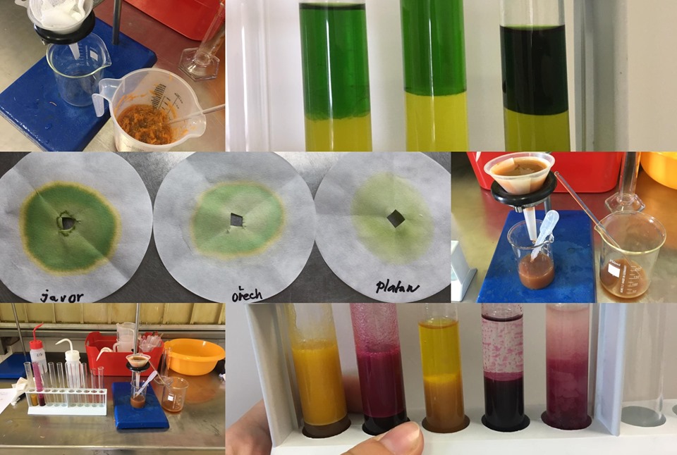 71023374_3296577477026604_812041873152540672_n