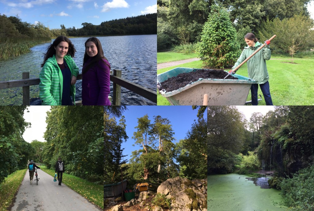 72337498_3375882315762786_8824494910792007680_o