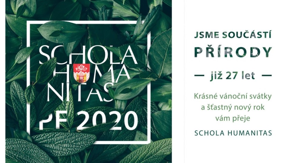 80954602_3648684575149224_1395709821096820736_o