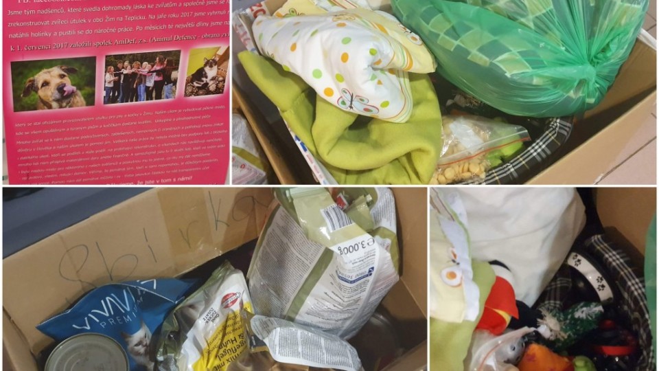 81144901_3648563118494703_63406718154964992_o