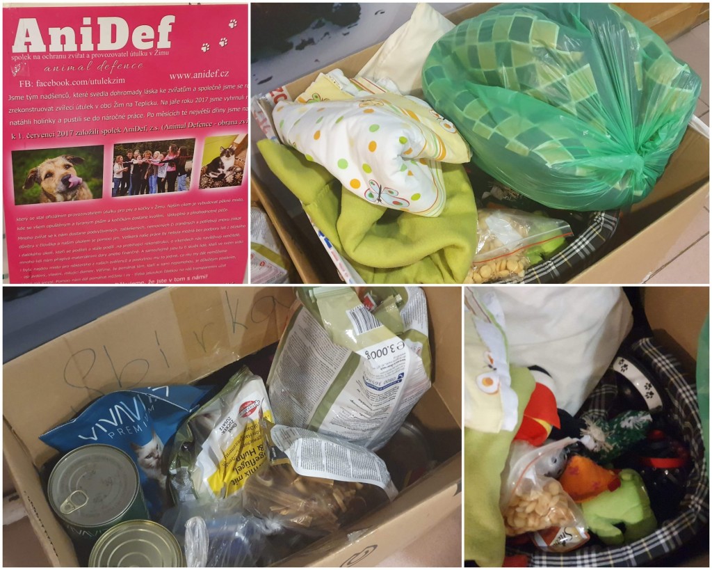 81144901_3648563118494703_63406718154964992_o