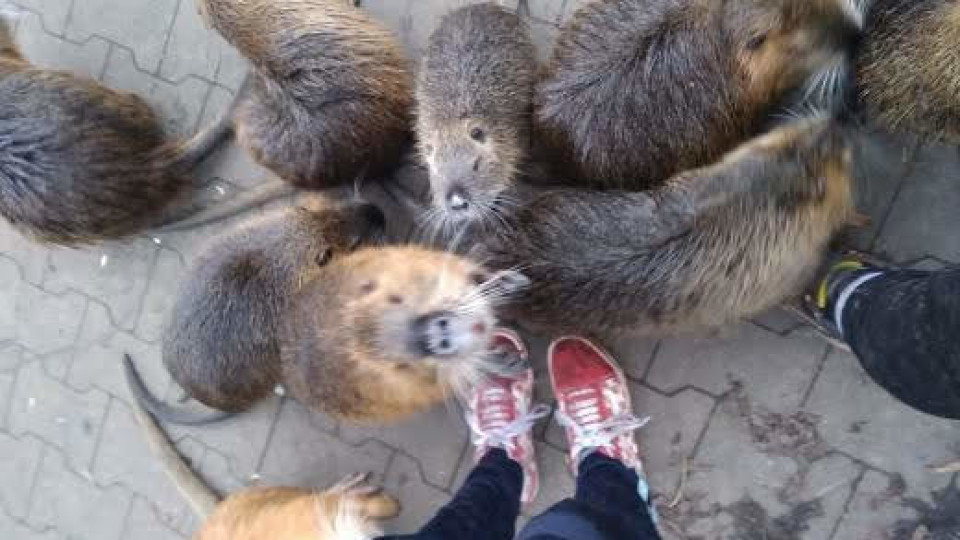 IMG_20200222_104512_091