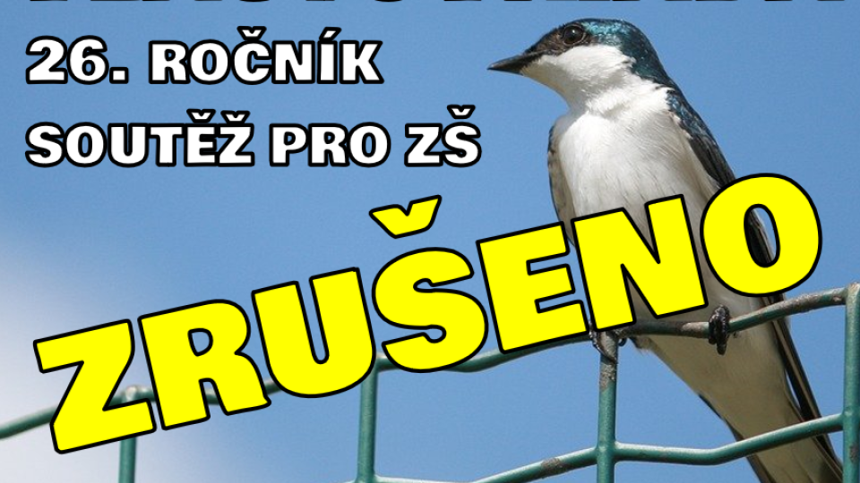 90736081_3964817513535927_1374489354054926336_n